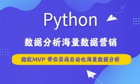 python数据分析海量数据营销